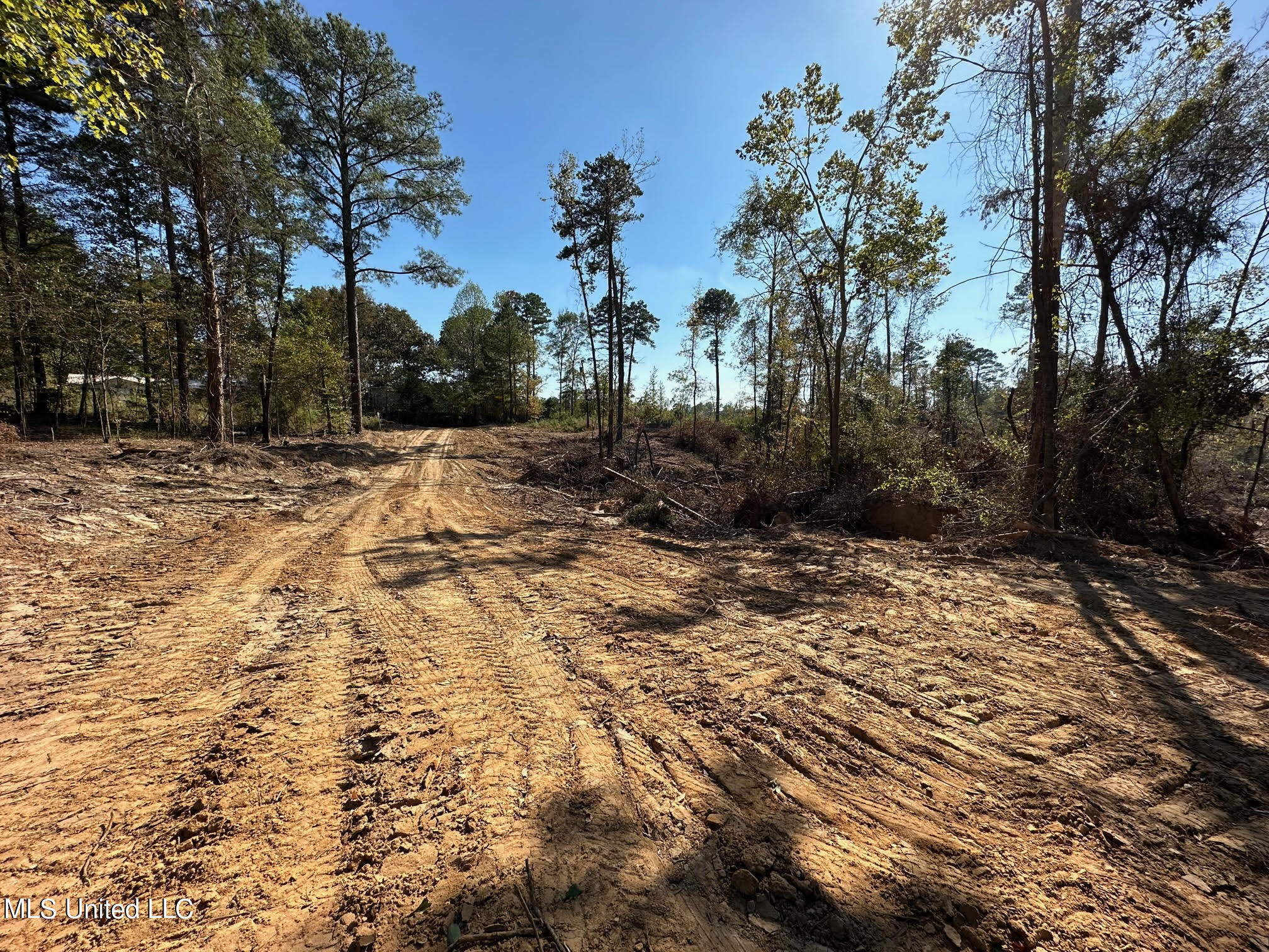 4101 County Road Sallis, MS 39160 - Photo 22 of 46 32