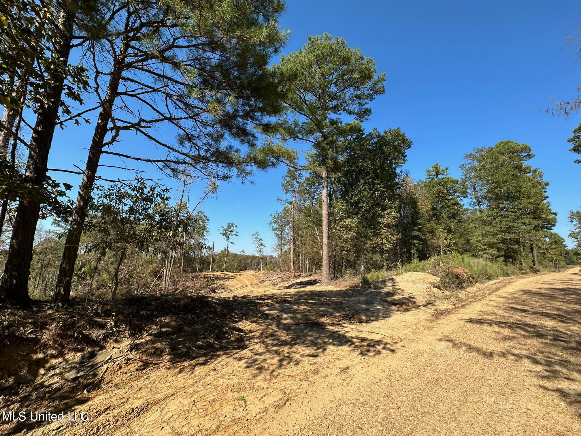 4101 County Road Sallis, MS 39160 - Photo 23 of 46 33