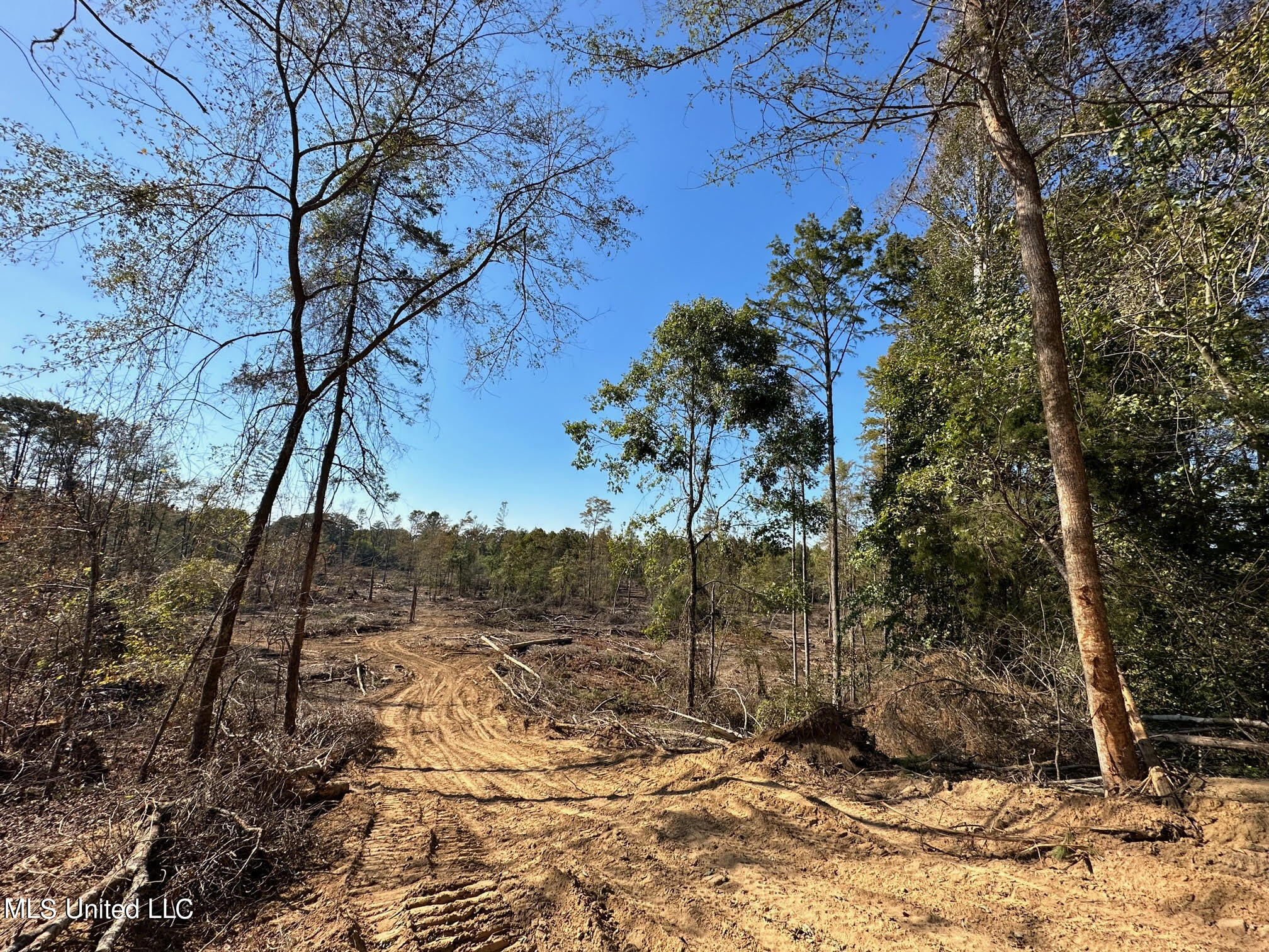 4101 County Road Sallis, MS 39160 - Photo 24 of 46 34