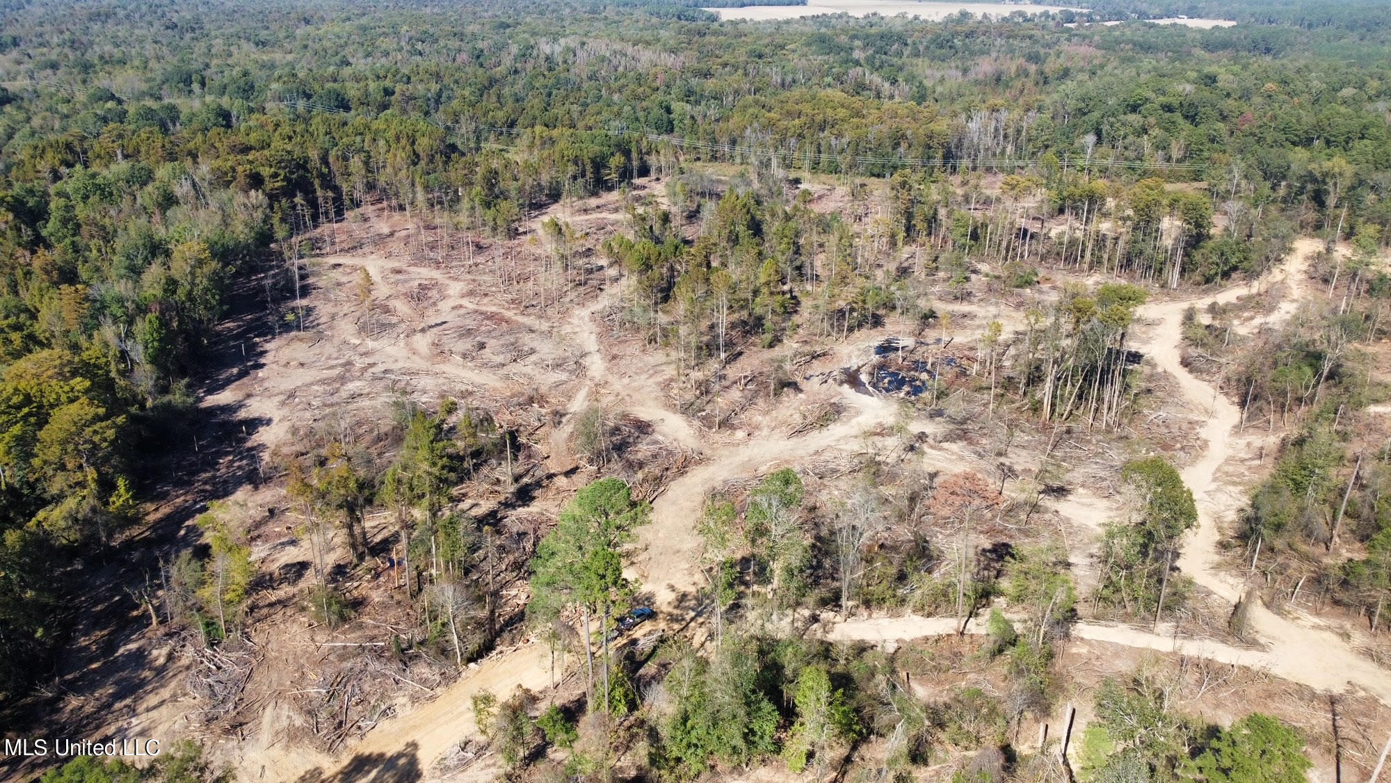 4101 County Road Sallis, MS 39160 - Photo 25 of 46 36