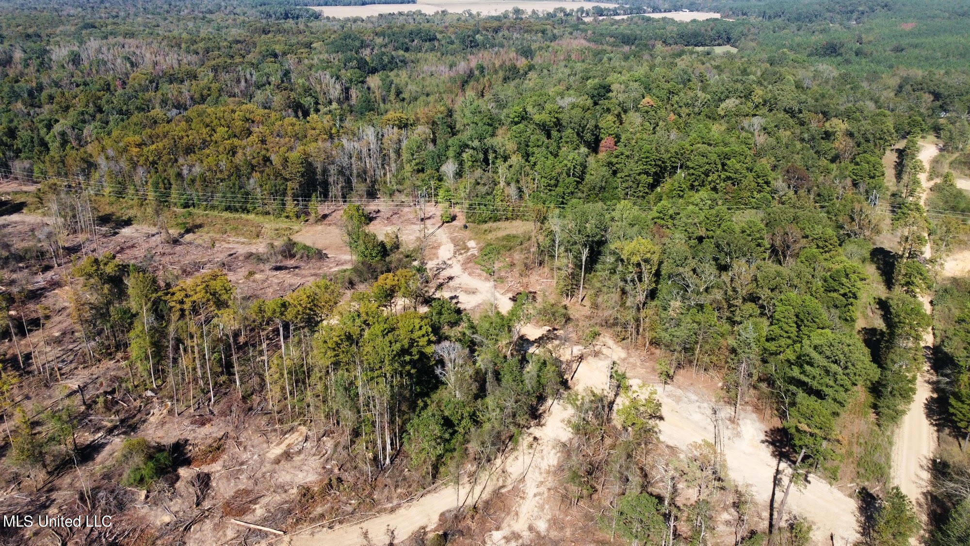 4101 County Road Sallis, MS 39160 - Photo 27 of 46 38