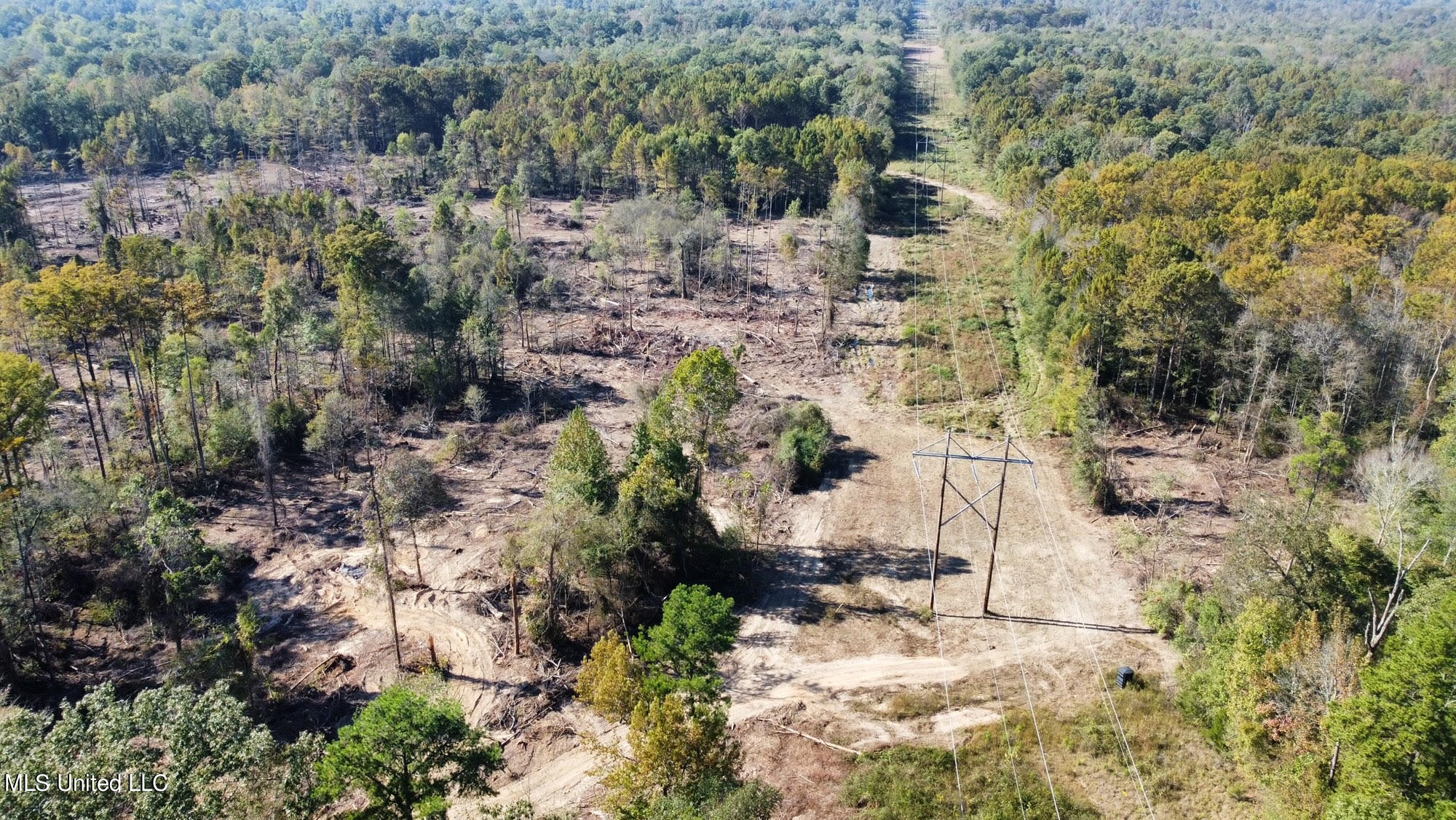 4101 County Road Sallis, MS 39160 - Photo 28 of 46 39