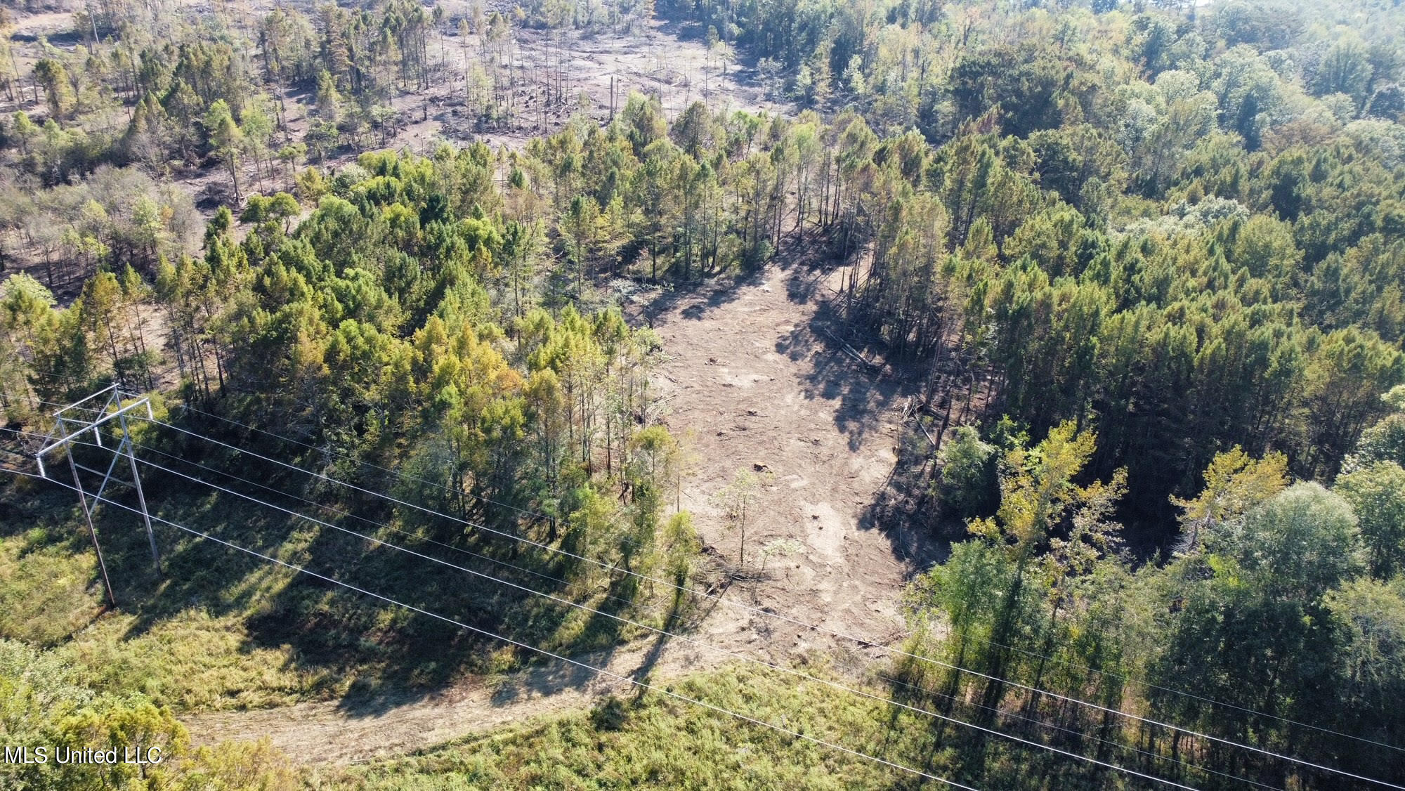 4101 County Road Sallis, MS 39160 - Photo 29 of 46 41