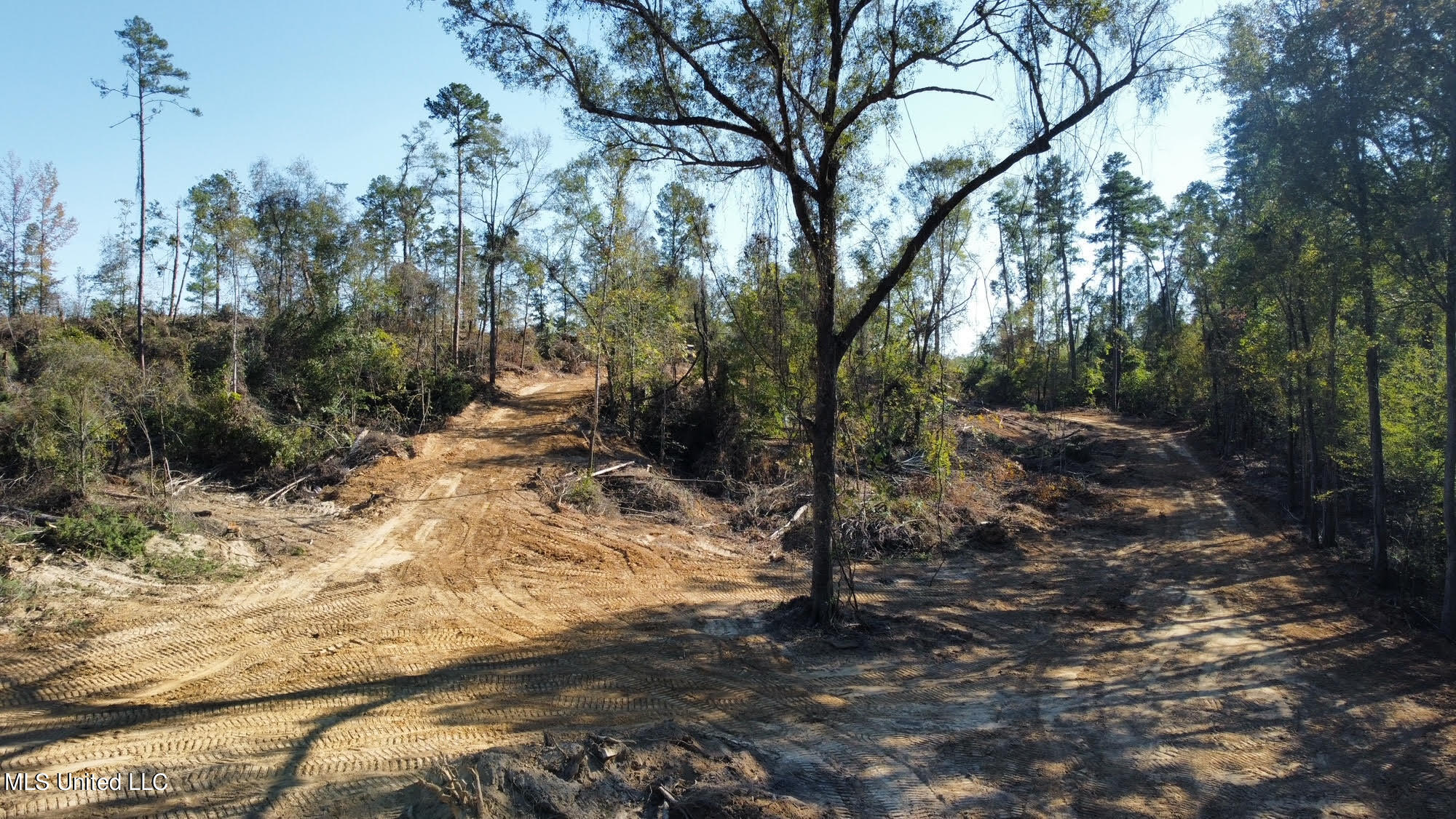 4101 County Road Sallis, MS 39160 - Photo 33 of 46 45