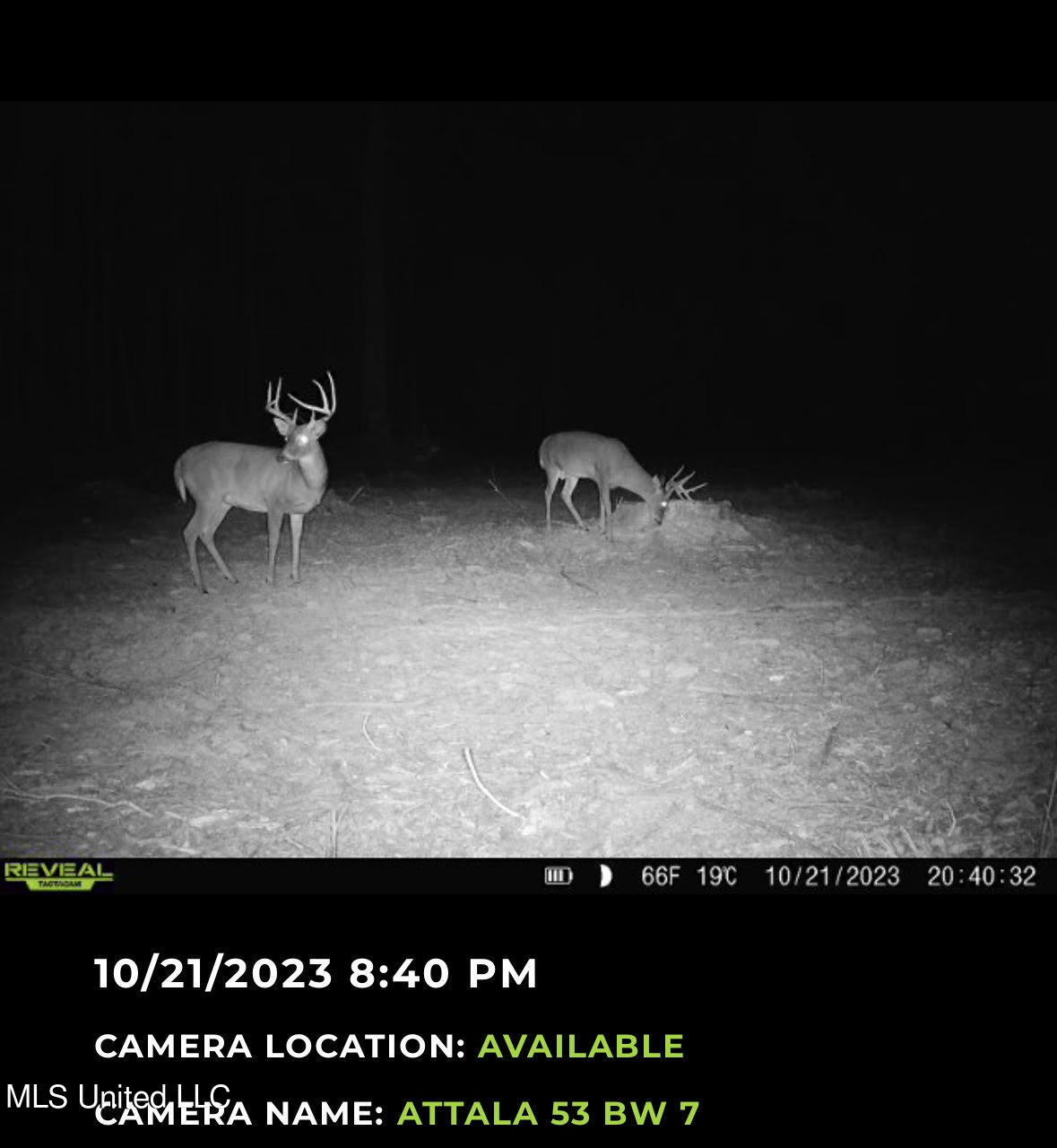 4101 County Road Sallis, MS 39160 - Photo 45 of 46 57