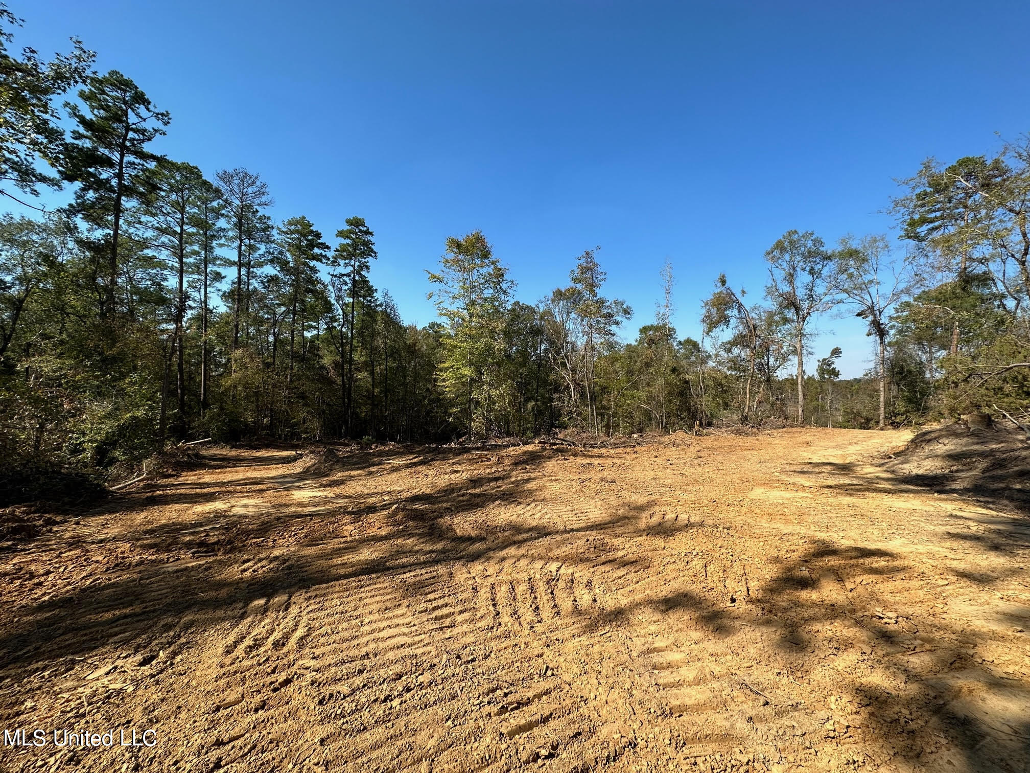 4101 County Road Sallis, MS 39160 - Photo 6 of 46 15