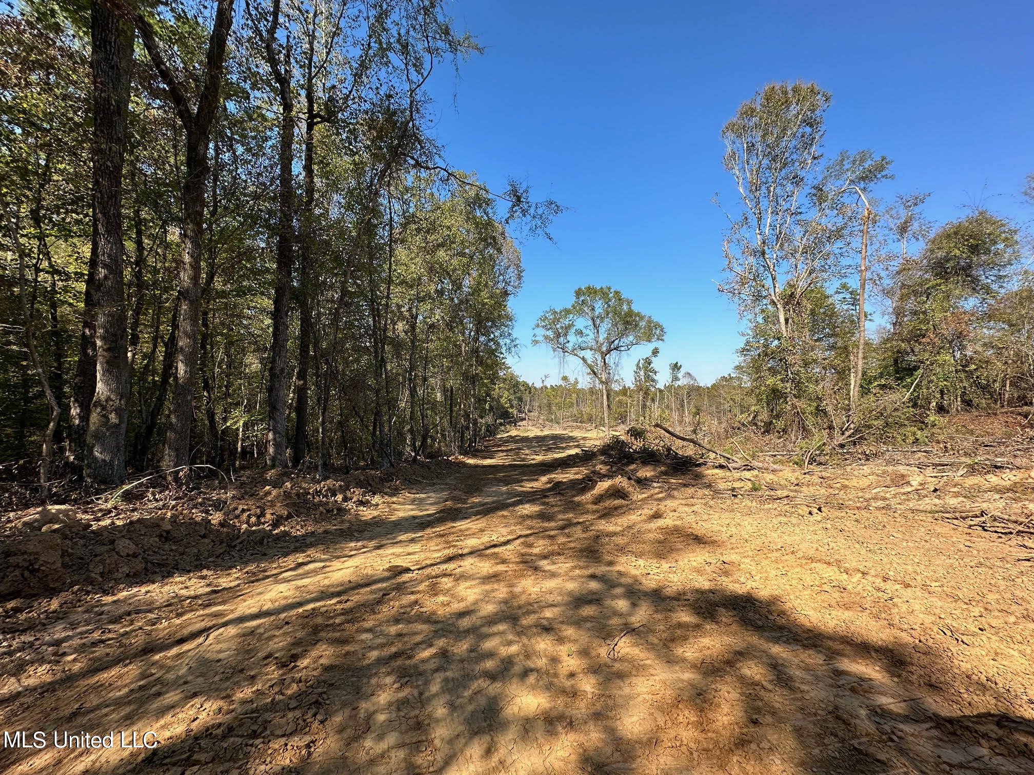 4101 County Road Sallis, MS 39160 - Photo 7 of 46 16