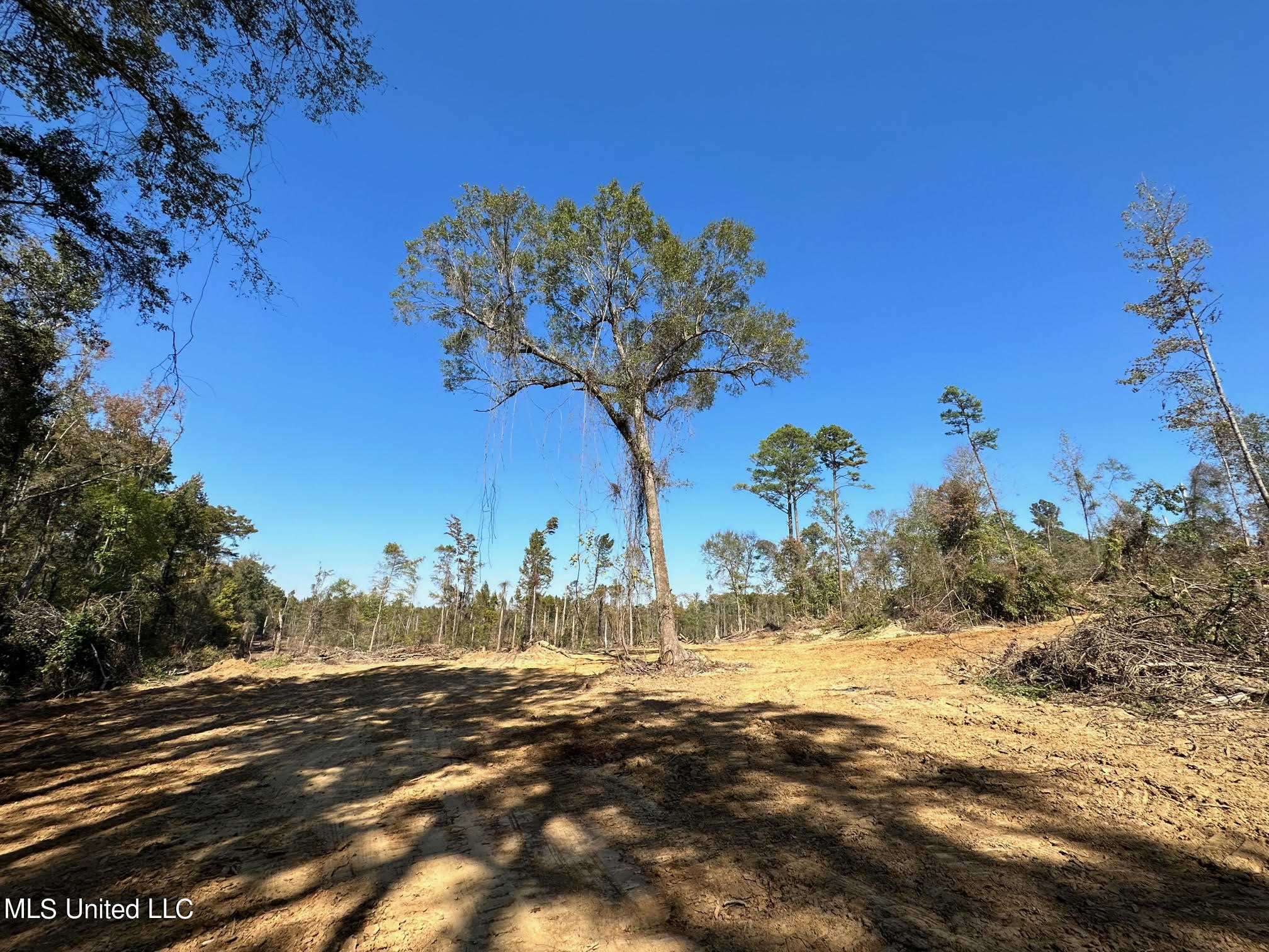 4101 County Road Sallis, MS 39160 - Photo 8 of 46 17