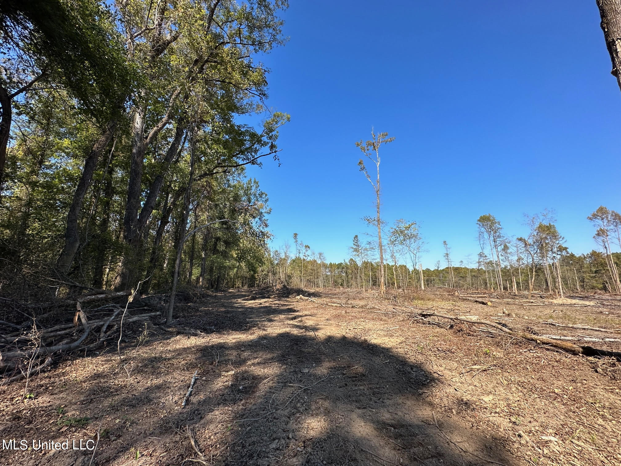 4101 County Road Sallis, MS 39160 - Photo 9 of 46 18