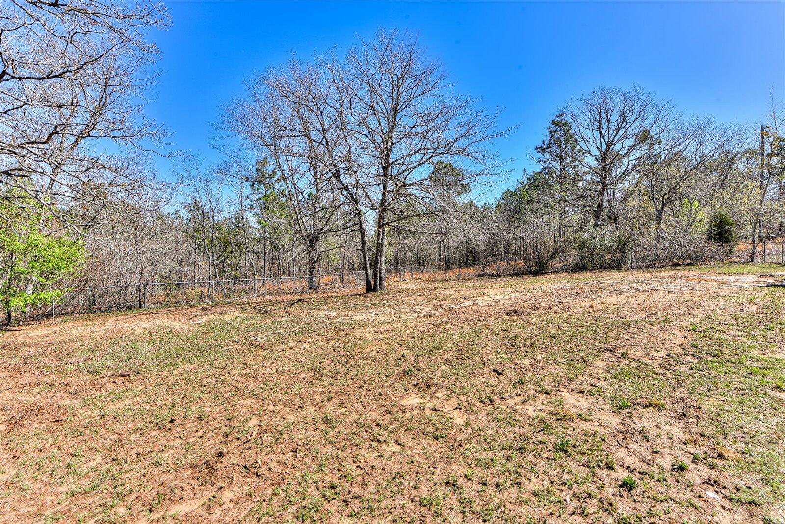 4417 Etterle Road Blythe, GA 30805 - Photo 17 of 18 Scenic Views