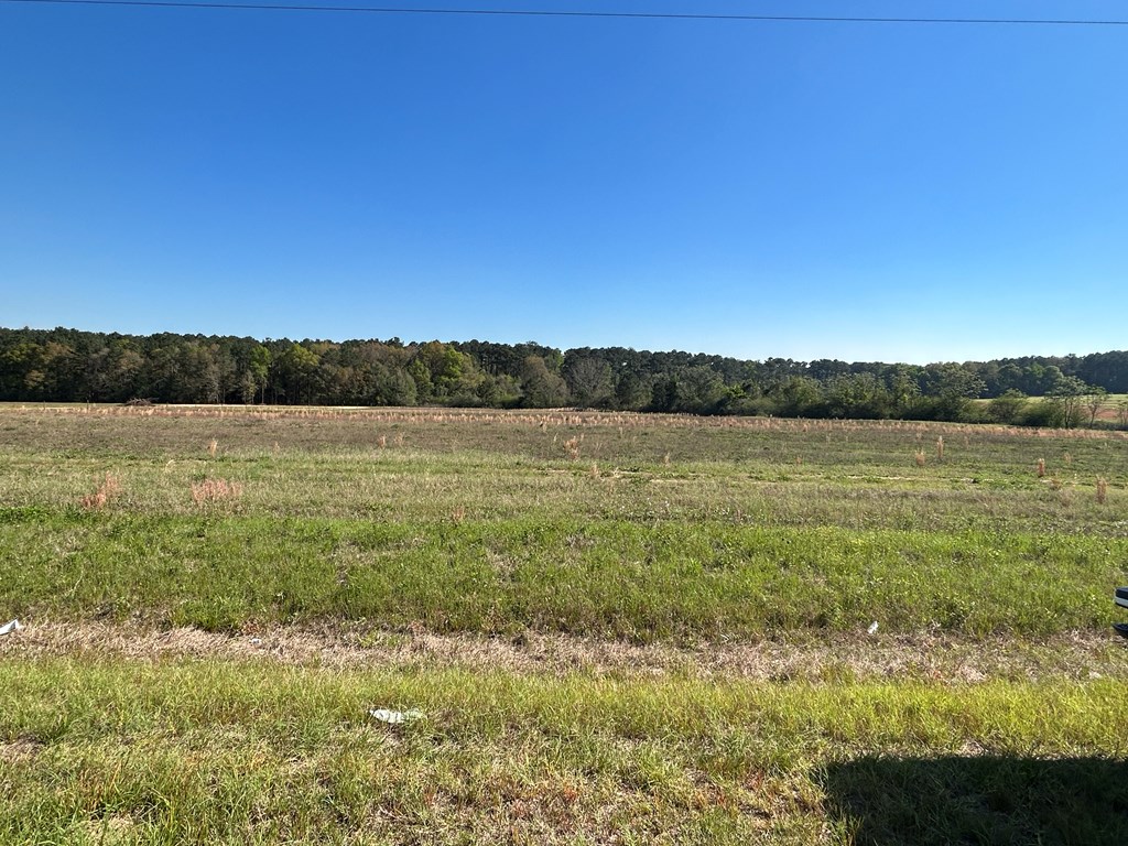 54.28-ac Webb Road Dothan, AL 36301 - Photo 51 of 57