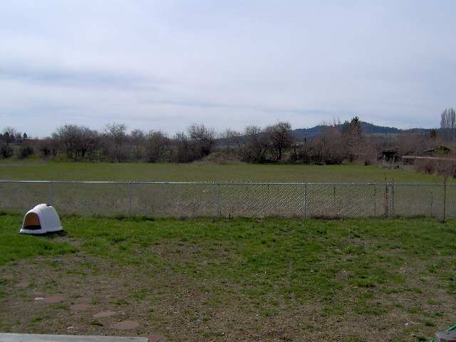 5611 North Starr Road Newman Lake, WA 99025 - Photo 8 of 8 Gallery Image 8