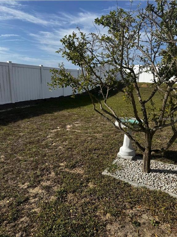 3837 Spring Creek Road Dundee, FL 33838 - Photo 5 of 15 a view of a large yard with plants and large trees