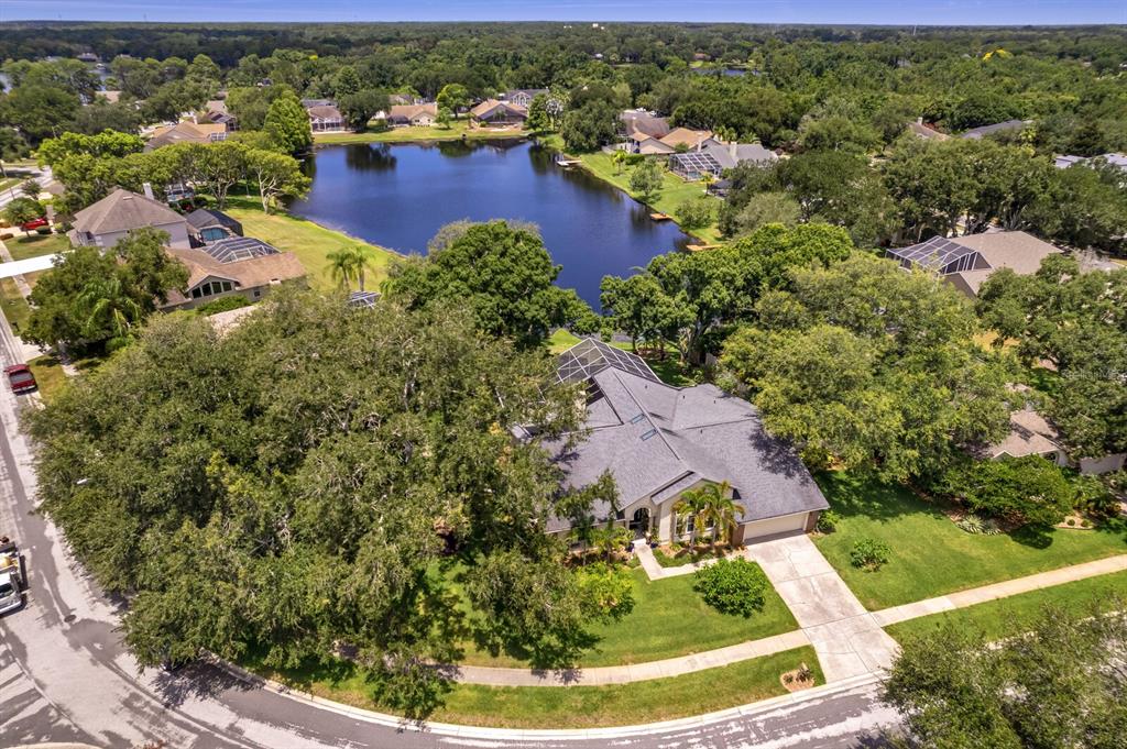 8412 Ridgebrook Circle Odessa, FL 33556 - Photo 75 of 87