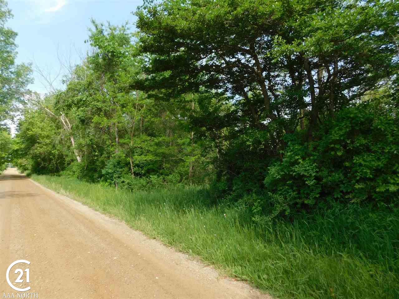 0 Crawford Road Dryden, MI 48428 - Photo 1 of 12