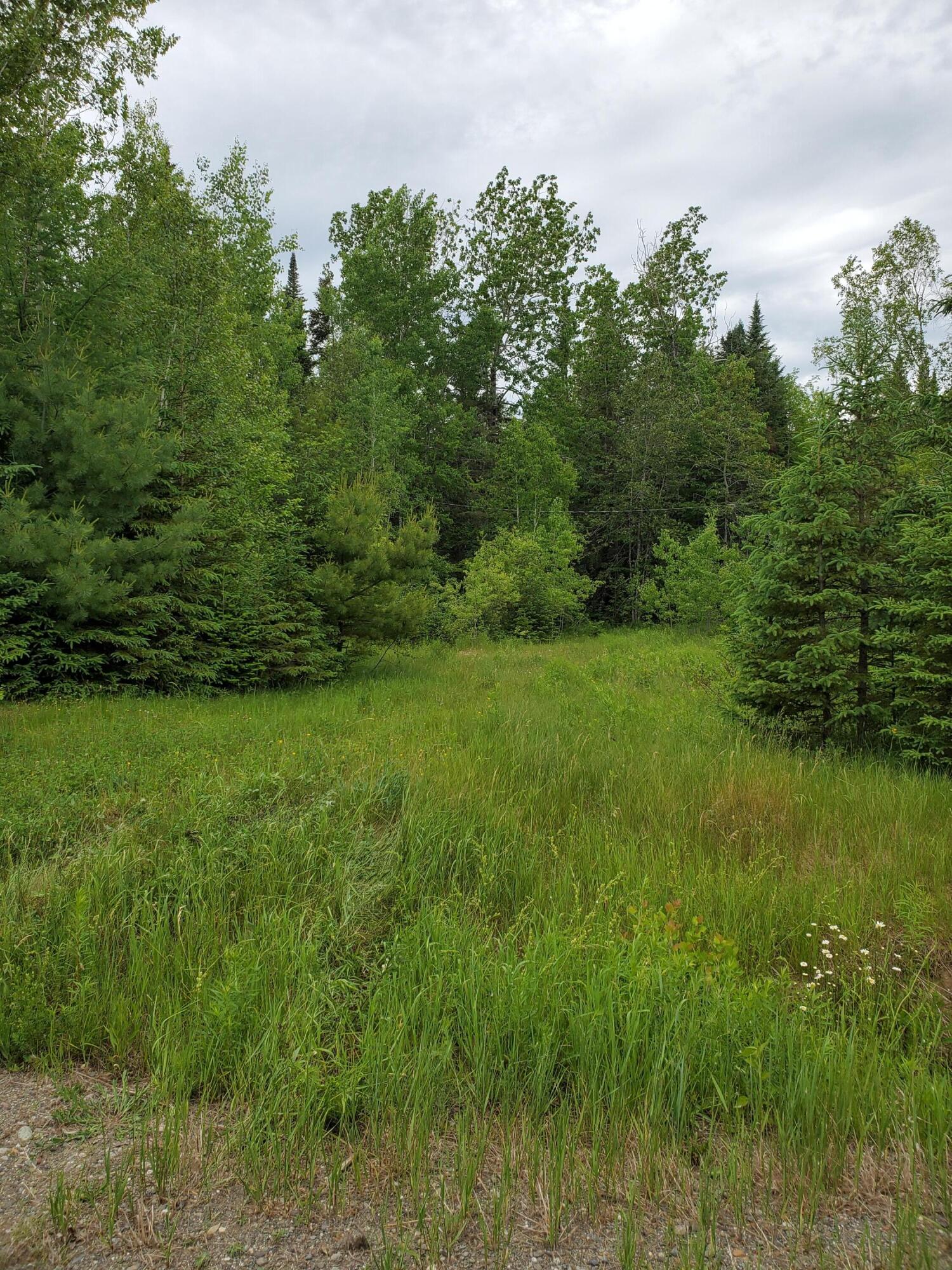 2291 Bancroft Road Wytopitlock, ME 04497 - Photo 11 of 14 20210614_151138