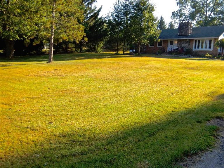 10325 Platt Road Milan, MI 48160 - Photo 8 of 40 Photo 8