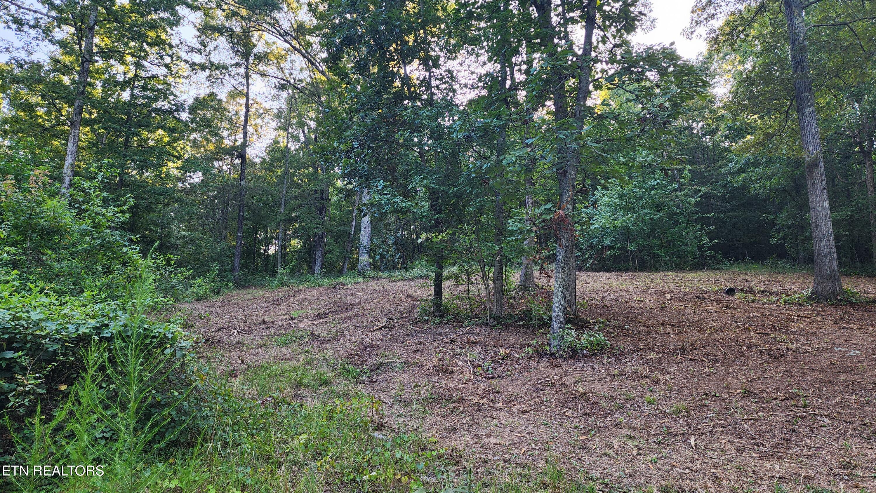 375 Goins Hill Road Ten Mile, TN 37880 - Photo 3 of 9 1000002205