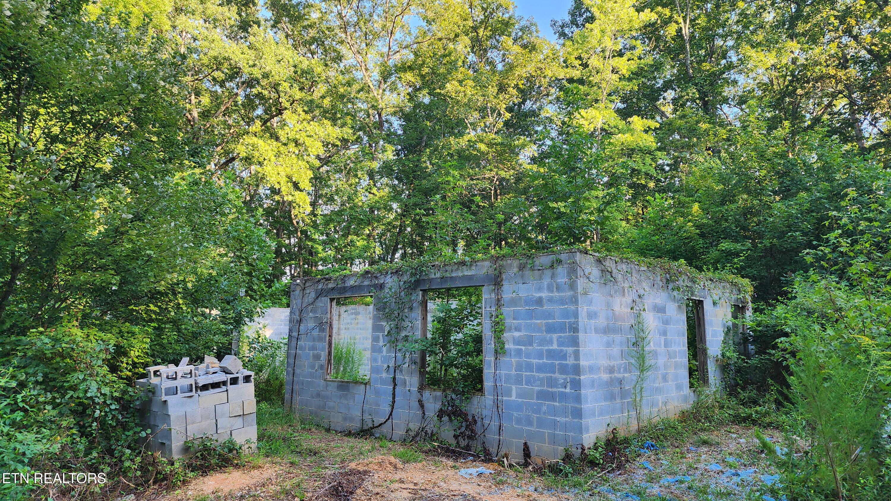 375 Goins Hill Road Ten Mile, TN 37880 - Photo 4 of 9 20250811_184923