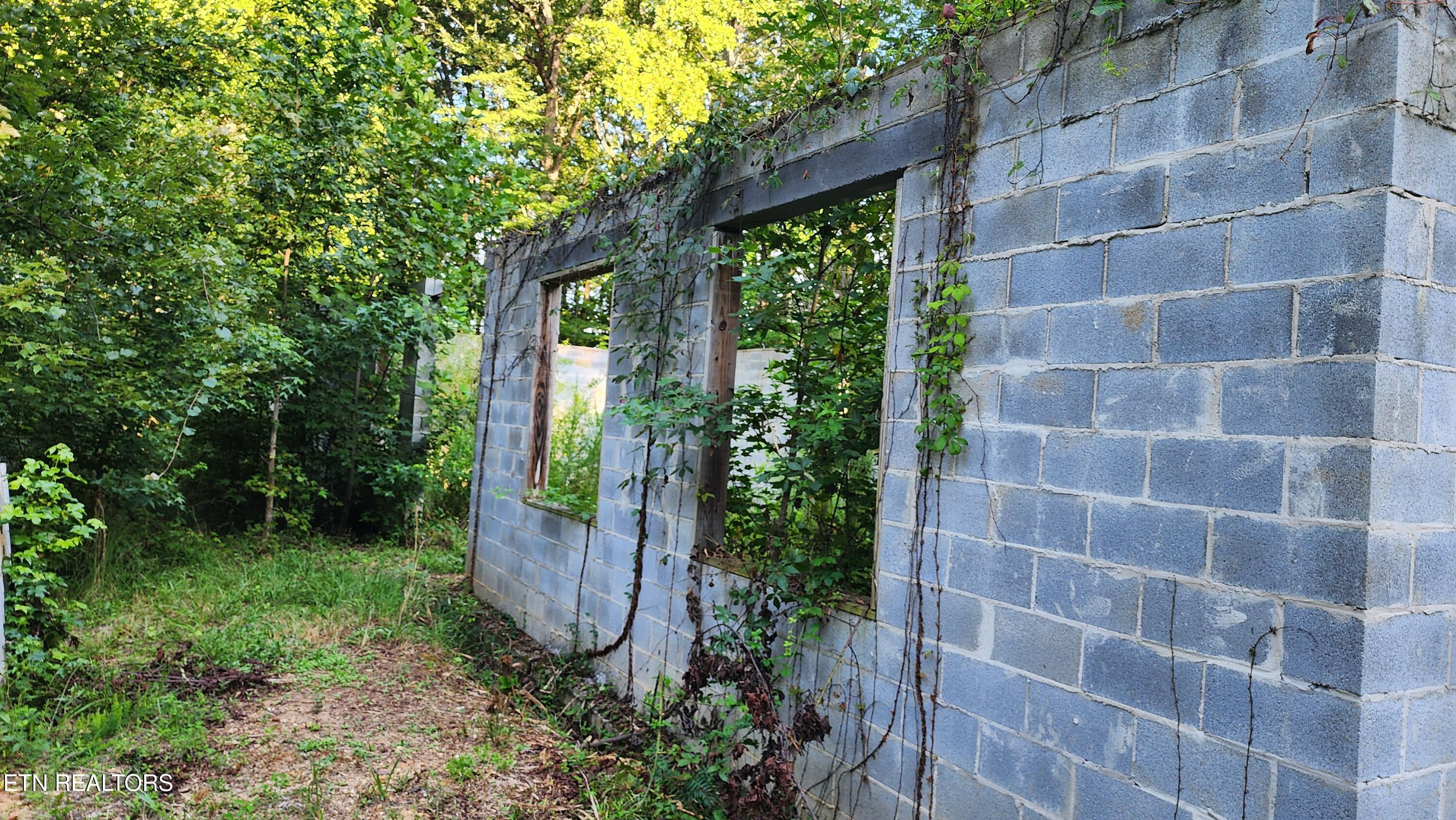 375 Goins Hill Road Ten Mile, TN 37880 - Photo 5 of 9 1000002202