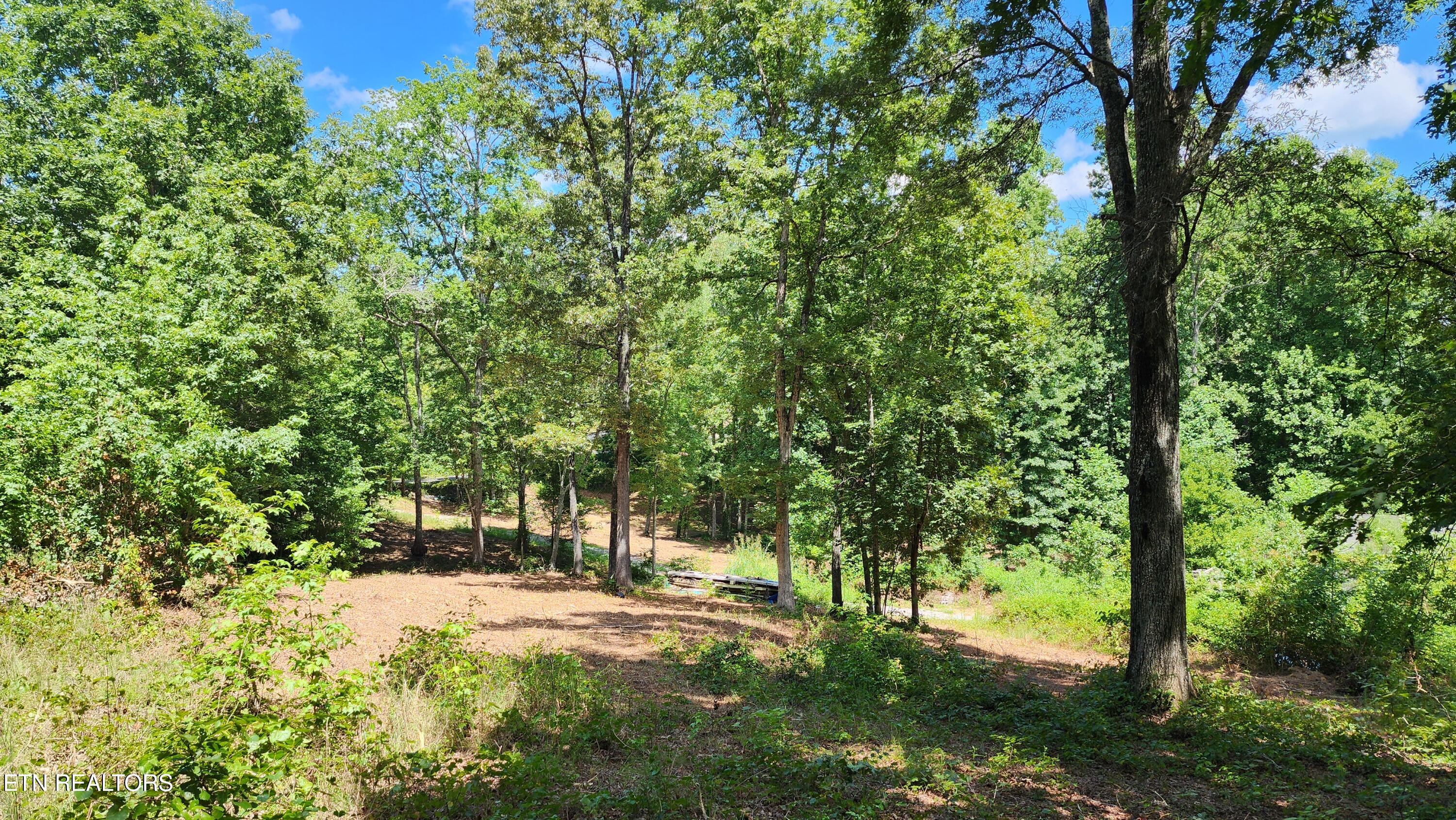 375 Goins Hill Road Ten Mile, TN 37880 - Photo 6 of 9 20250727_145047 (1)