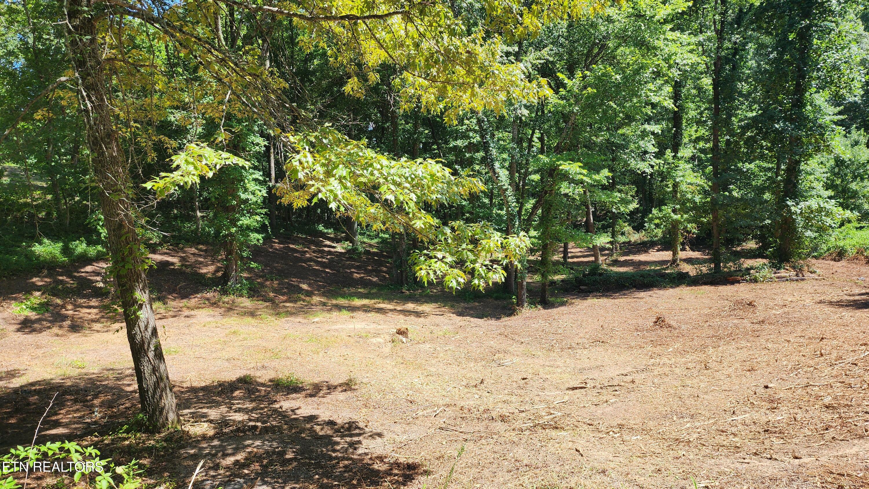 375 Goins Hill Road Ten Mile, TN 37880 - Photo 8 of 9 1000002115 (1)