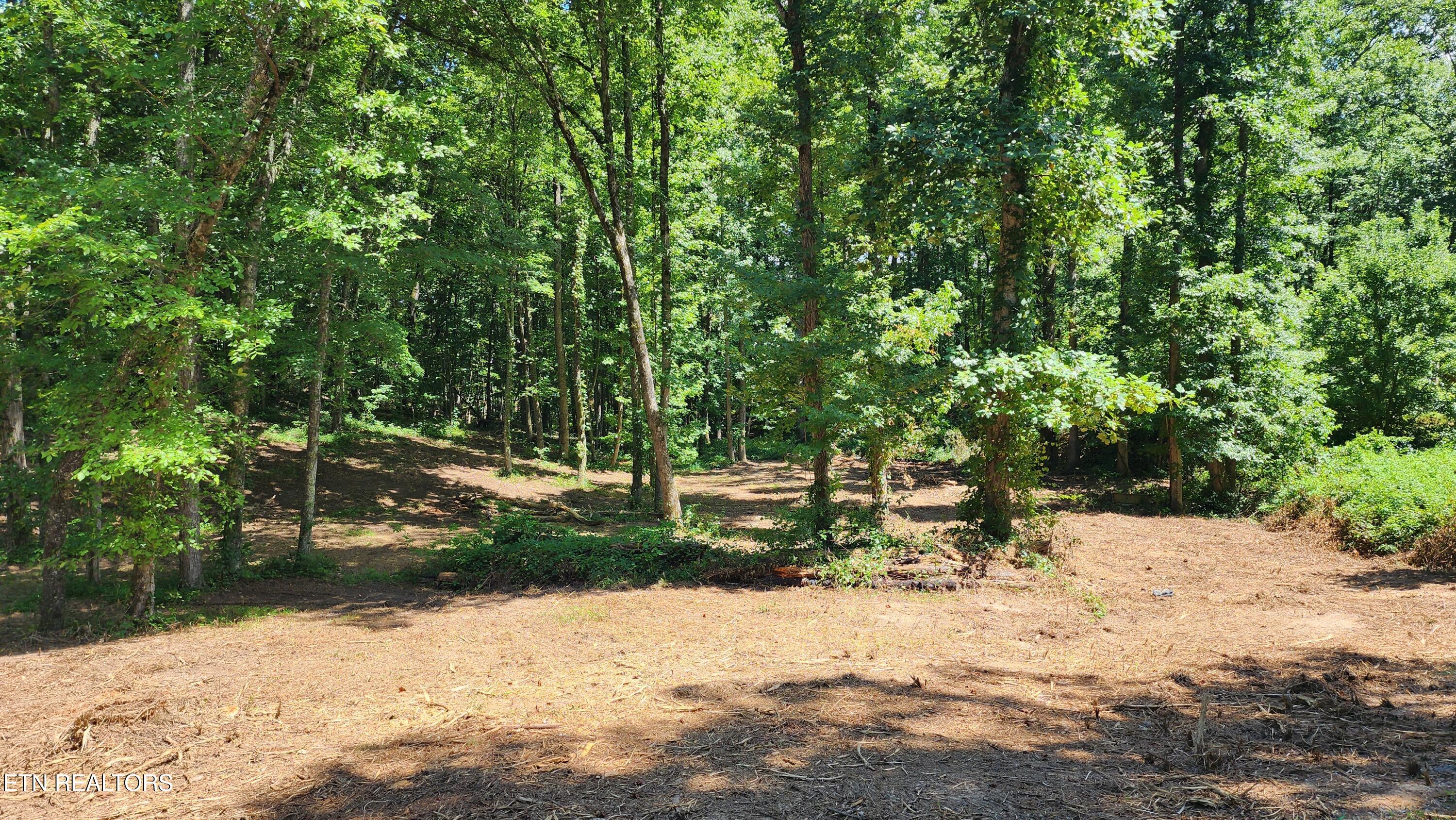 375 Goins Hill Road Ten Mile, TN 37880 - Photo 9 of 9 1000002113 (1)