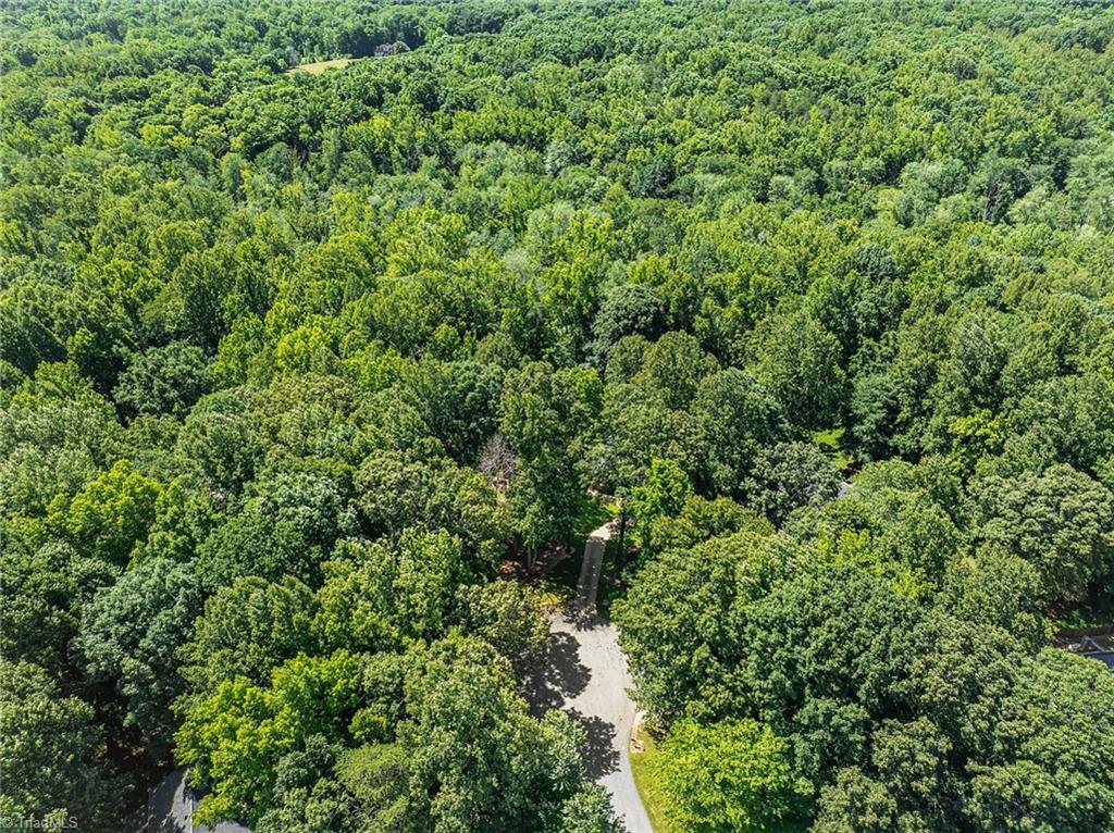 6001 Trotter Ridge Road Summerfield, NC 27358 - Photo 1 of 38