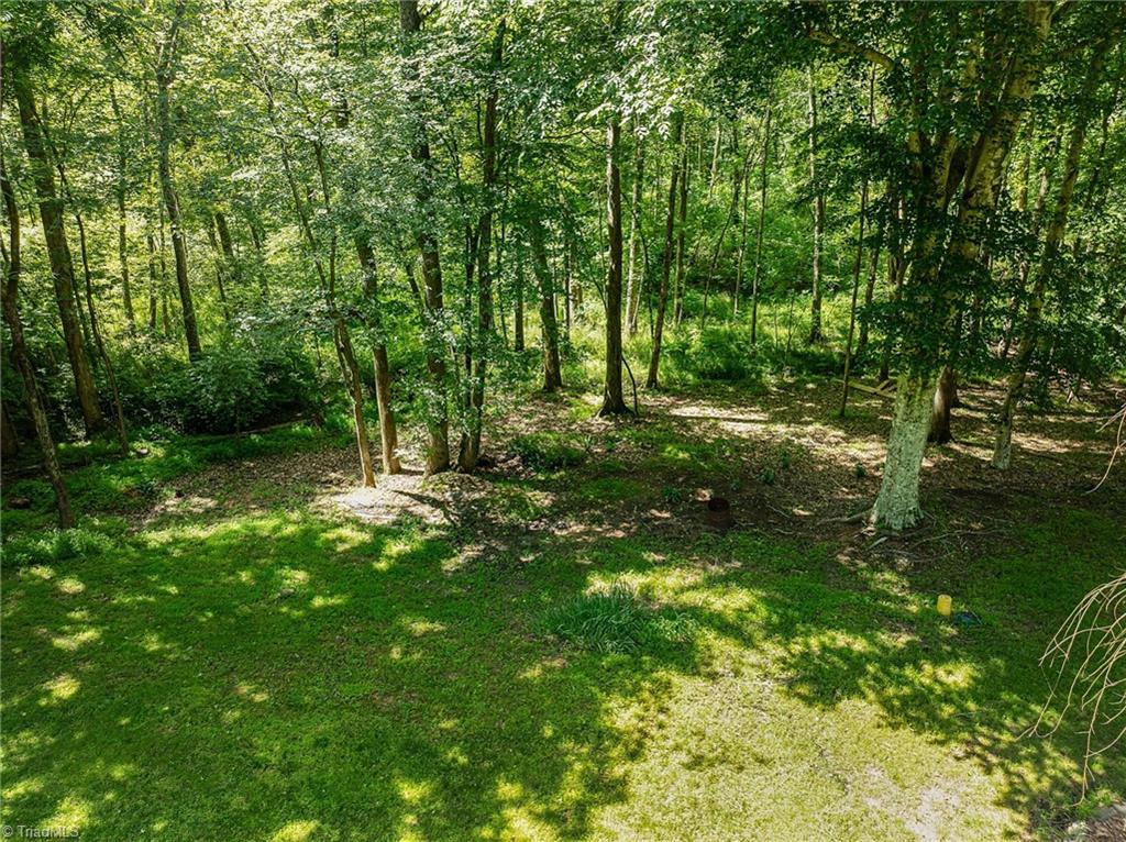 6001 Trotter Ridge Road Summerfield, NC 27358 - Photo 34 of 38