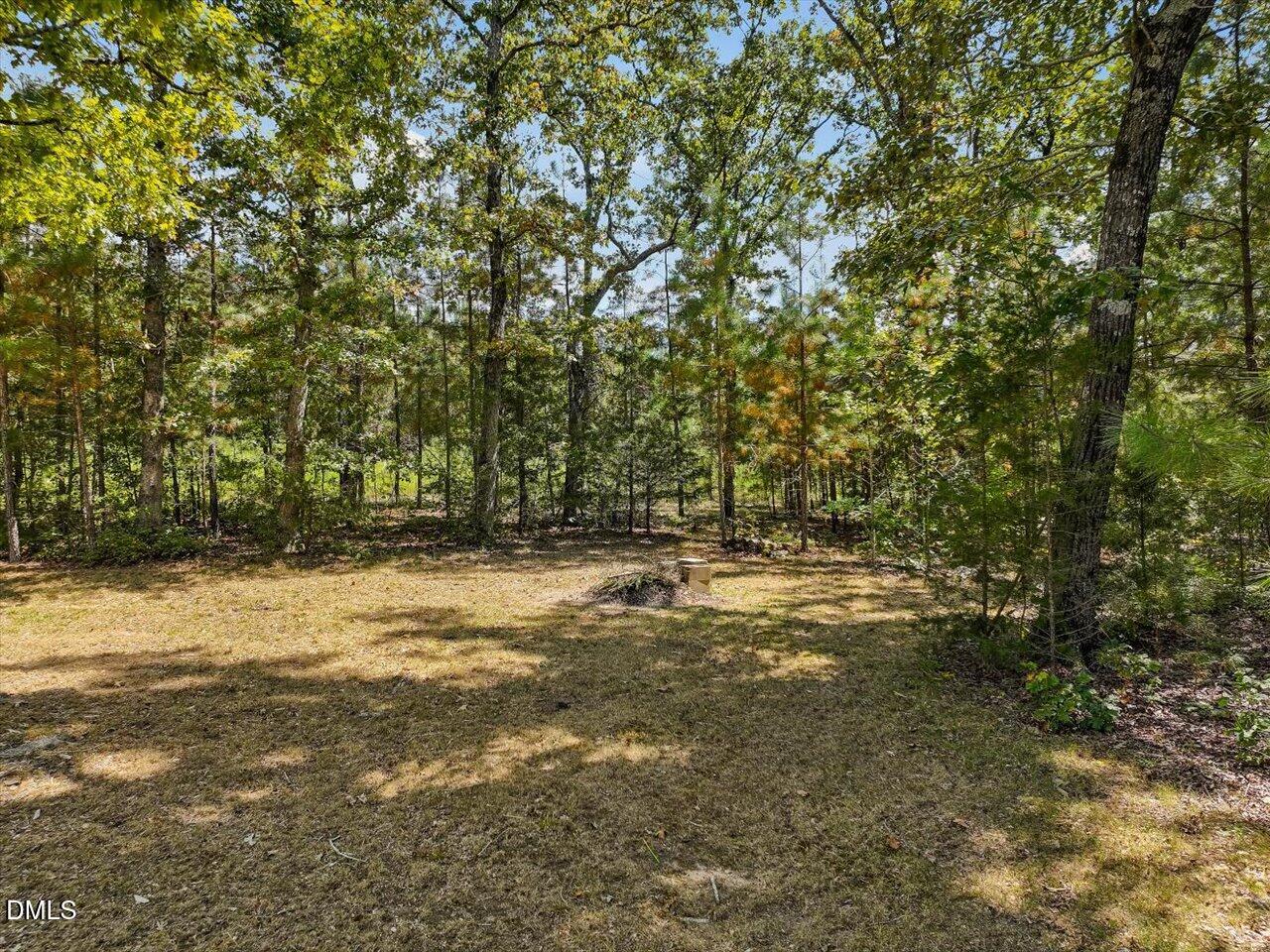 1210 Manco Dairy Road Pittsboro, NC 27312 - Photo 91 of 99 a view of a yard with a tree