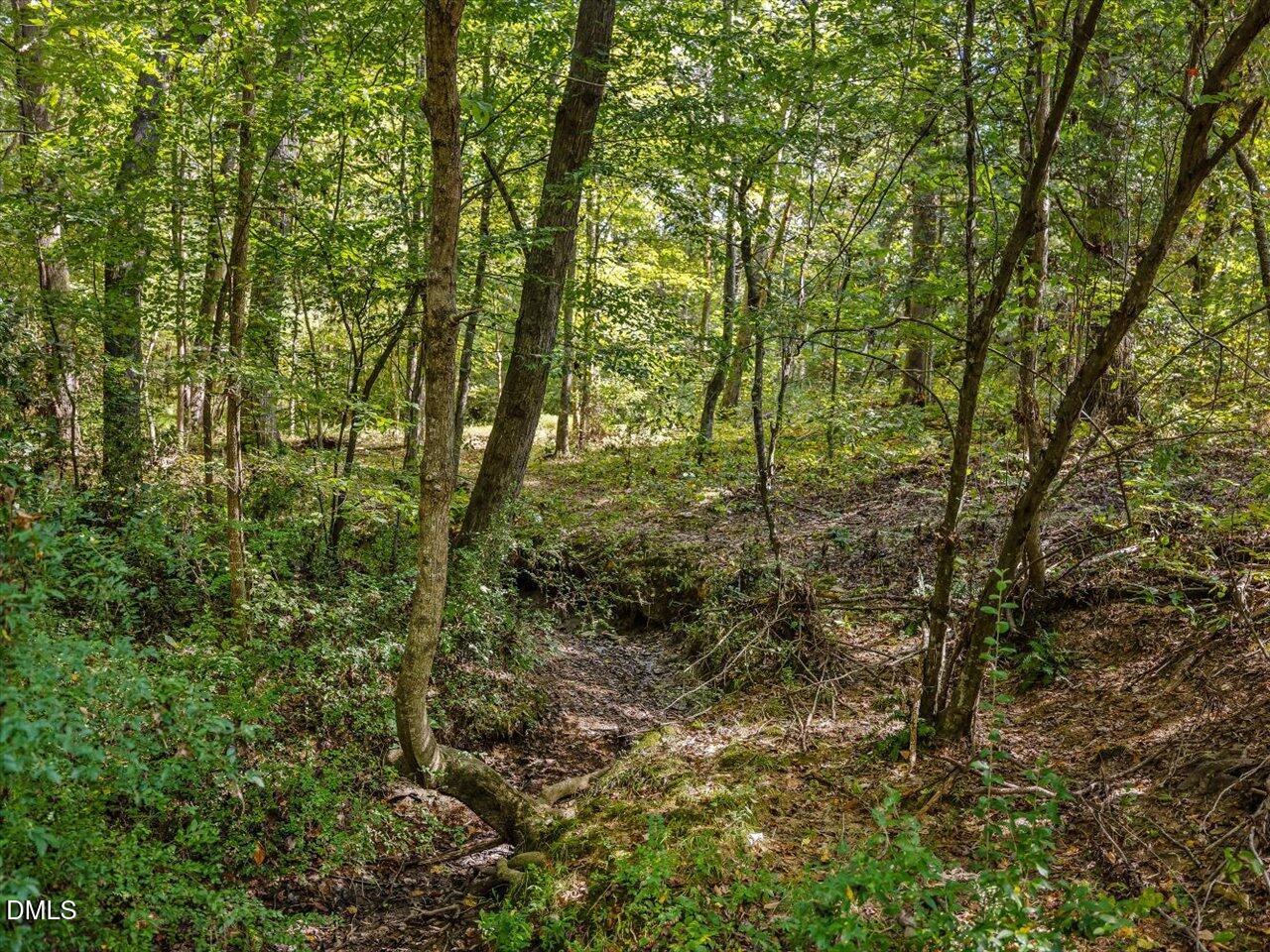1210 Manco Dairy Road Pittsboro, NC 27312 - Photo 94 of 99 097-Wooded Lot