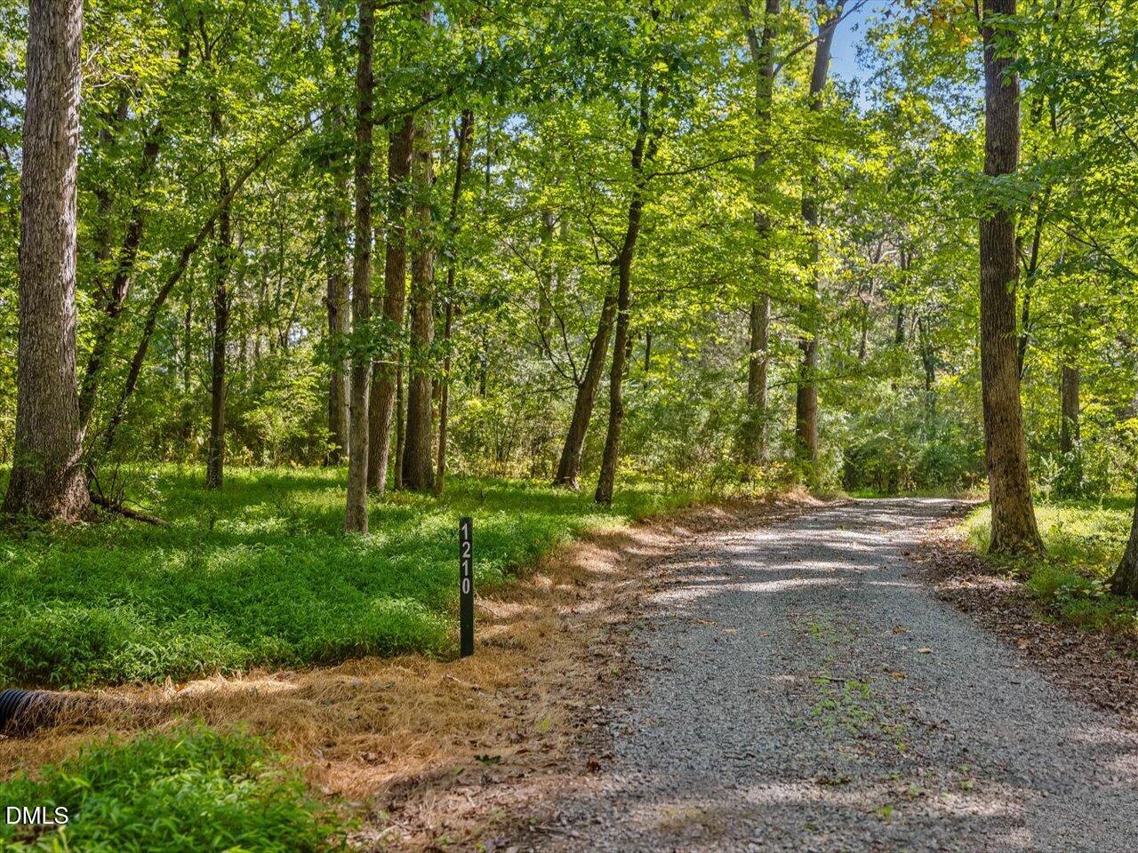 1210 Manco Dairy Road Pittsboro, NC 27312 - Photo 95 of 99 098-Driveway
