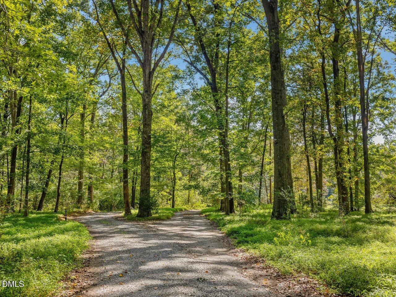 1210 Manco Dairy Road Pittsboro, NC 27312 - Photo 96 of 99 099-Driveway
