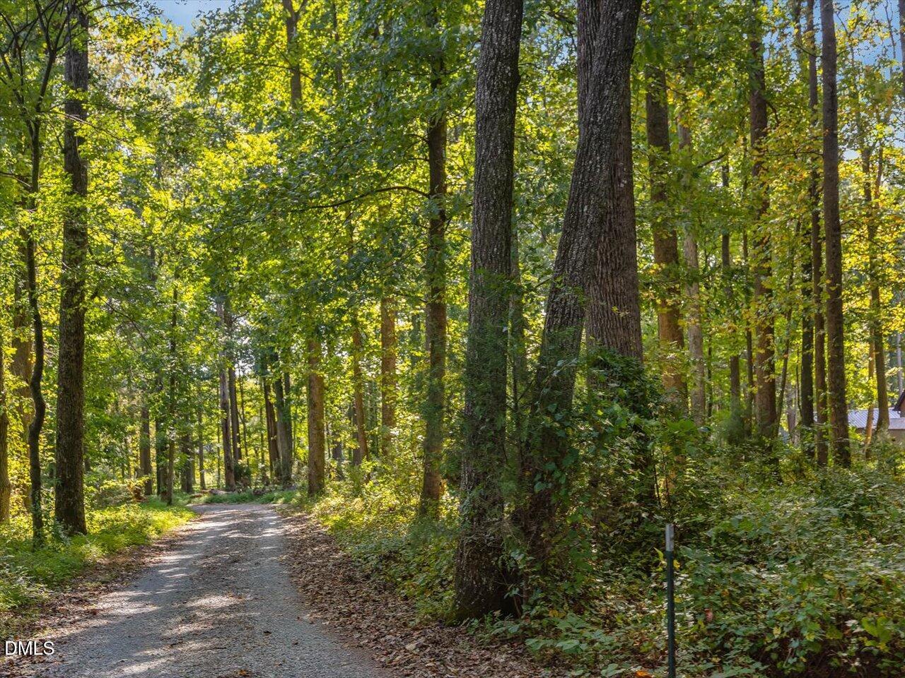 1210 Manco Dairy Road Pittsboro, NC 27312 - Photo 97 of 99 a view of outdoor space and trees