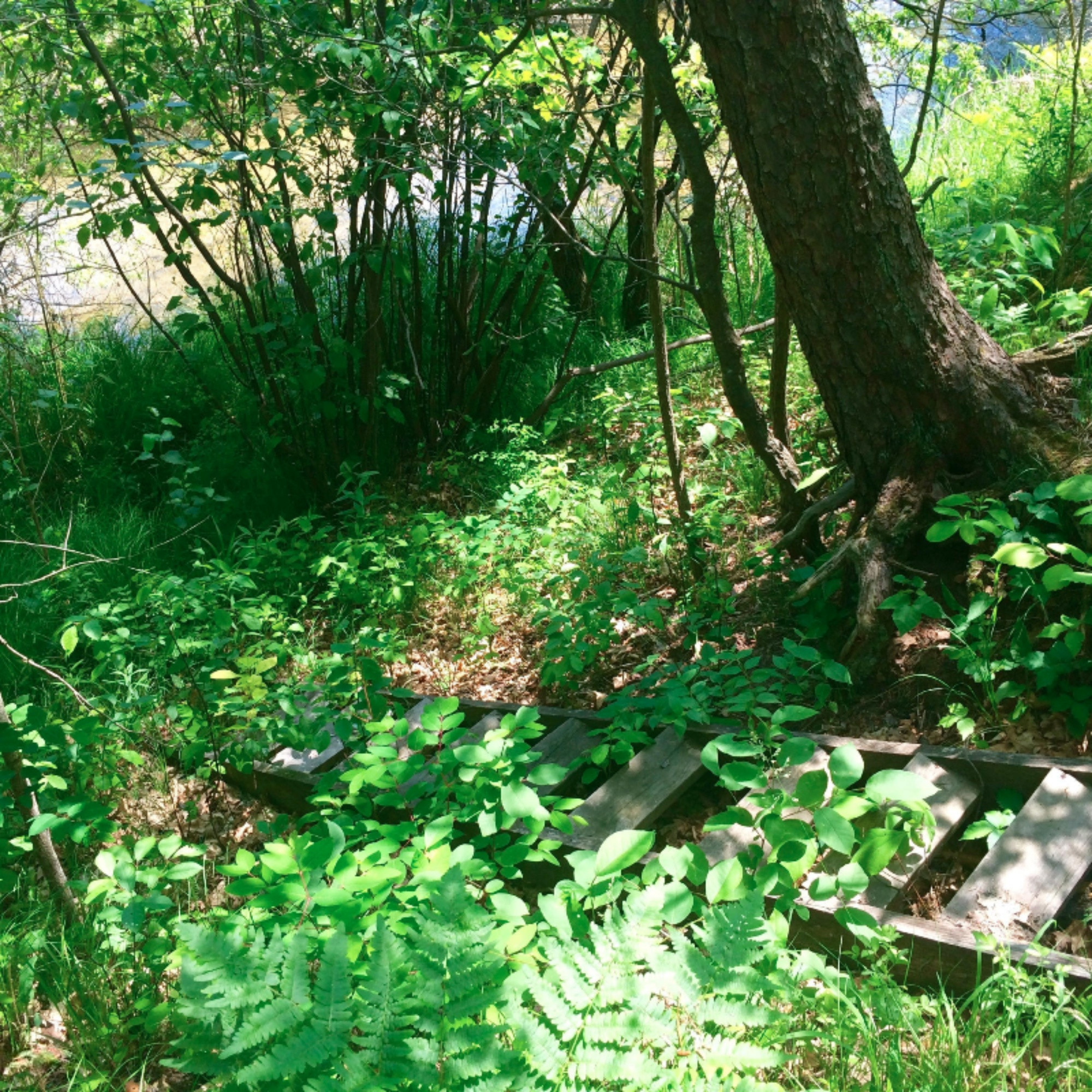 7606 South Nelson Road Chase, MI 49623 - Photo 29 of 54 Several River Access Sites