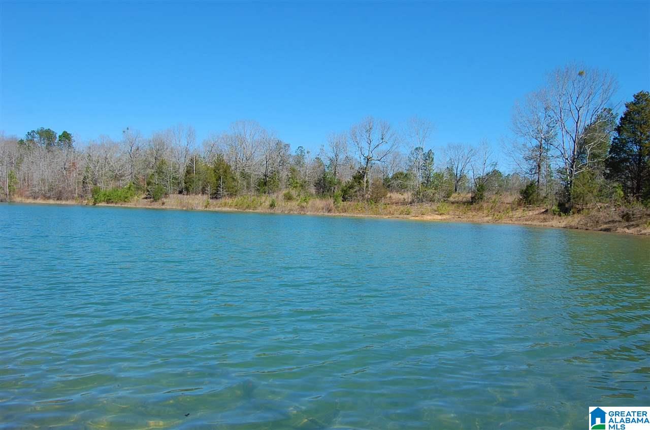 0 Melissa Robyn Road, Unit 1 Deatsville, AL 36022 - Photo 11 of 29