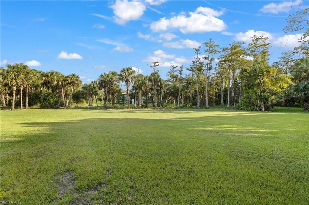 911 Mingo Drive Naples, FL 34120 - Photo 28 of 50 a view of a green field