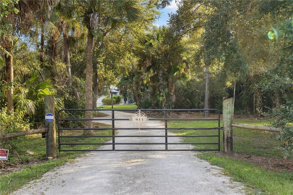 911 Mingo Drive Naples, FL 34120 - Photo 4 of 50 a view of backyard with trees