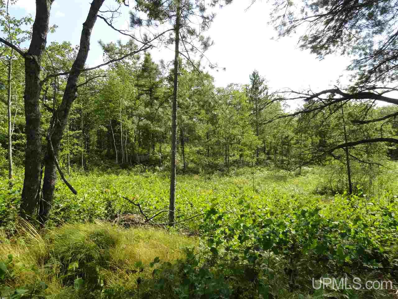 143-acres County Rd FF Republic, MI 49879 - Photo 12 of 18