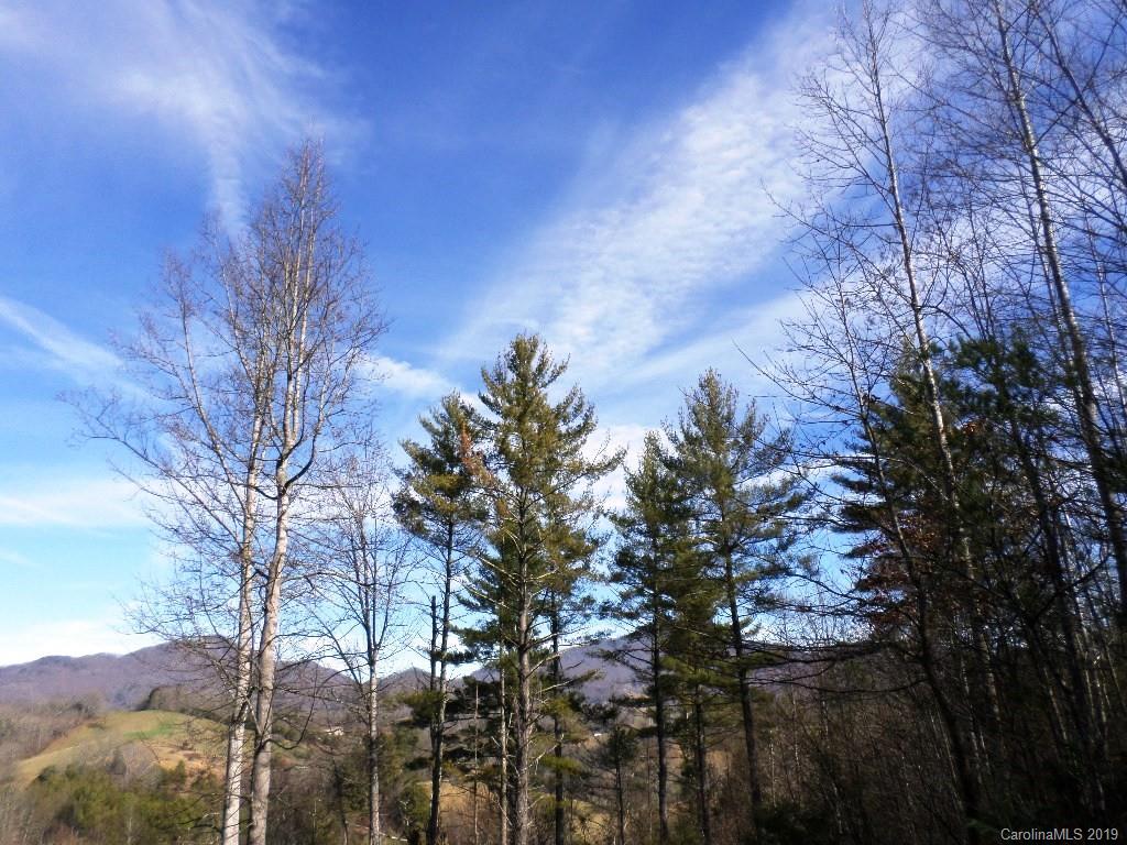 5 Tree Line Trail, Unit 5 Waynesville, NC 28785 - Photo 1 of 36 Gallery Image 1