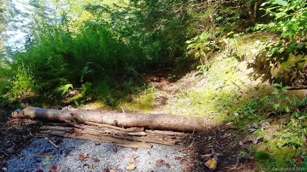 5 Tree Line Trail, Unit 5 Waynesville, NC 28785 - Photo 11 of 36 Gallery Image 11