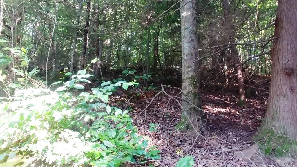 5 Tree Line Trail, Unit 5 Waynesville, NC 28785 - Photo 12 of 36 Gallery Image 12