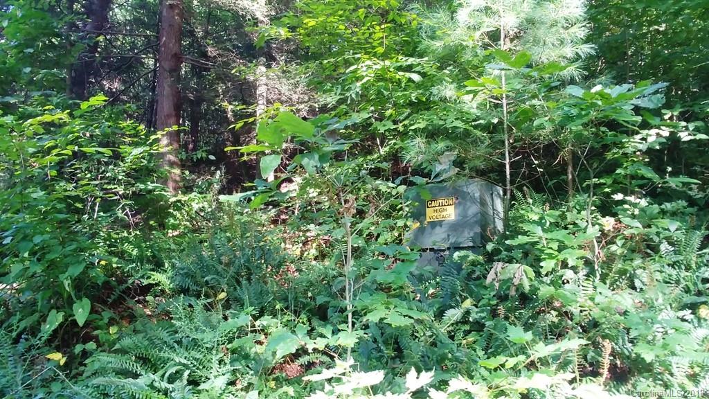 5 Tree Line Trail, Unit 5 Waynesville, NC 28785 - Photo 13 of 36 Gallery Image 13