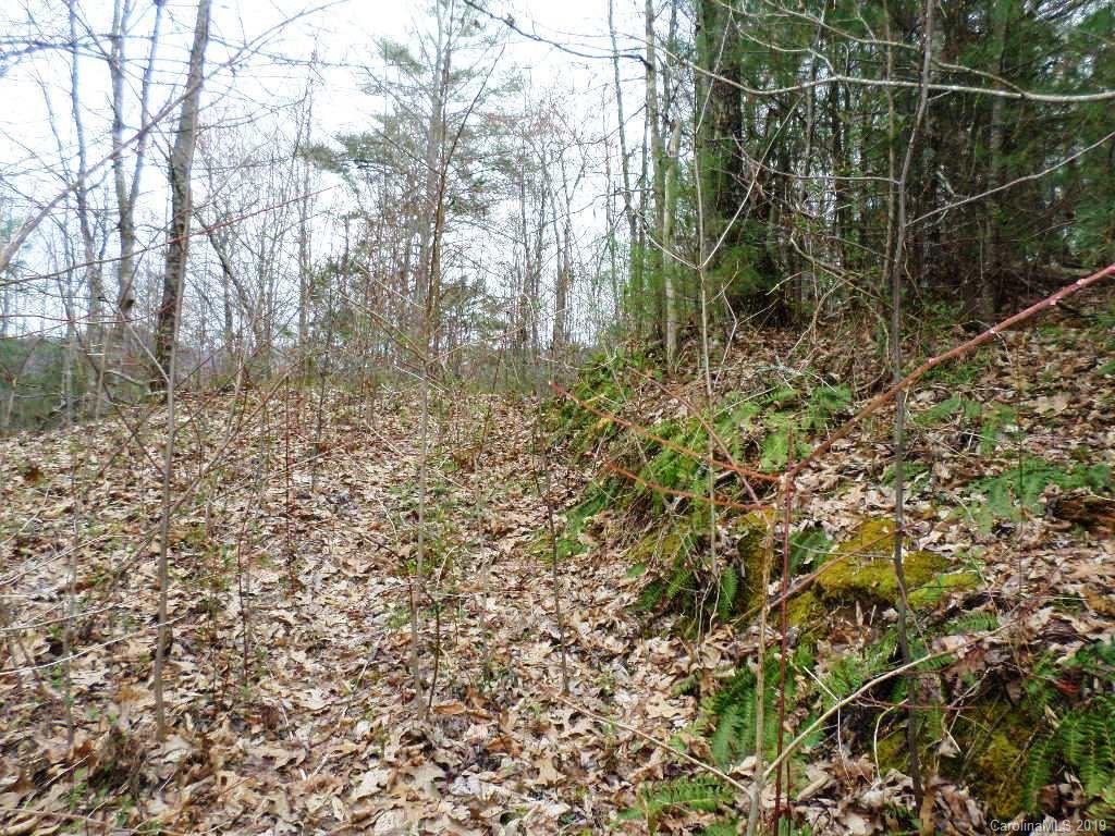 5 Tree Line Trail, Unit 5 Waynesville, NC 28785 - Photo 16 of 36 Gallery Image 16