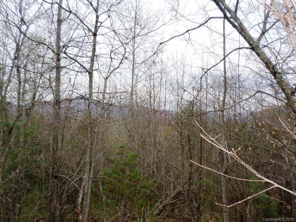 5 Tree Line Trail, Unit 5 Waynesville, NC 28785 - Photo 18 of 36 Gallery Image 18