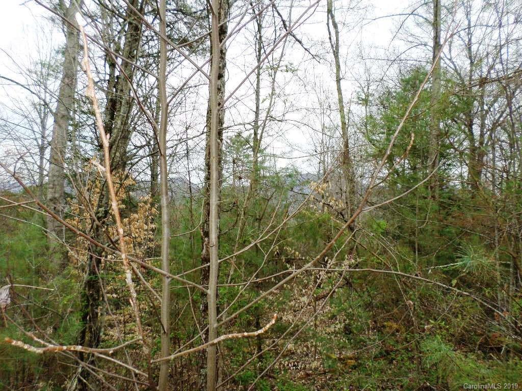 5 Tree Line Trail, Unit 5 Waynesville, NC 28785 - Photo 19 of 36 Gallery Image 19