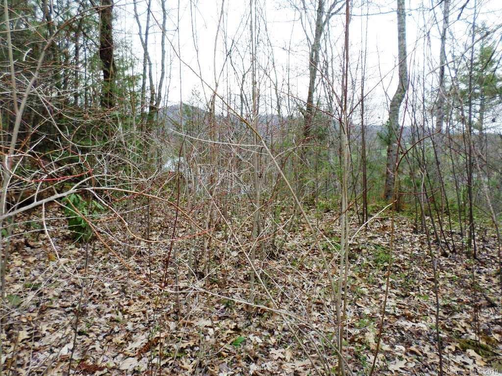5 Tree Line Trail, Unit 5 Waynesville, NC 28785 - Photo 20 of 36 Gallery Image 20