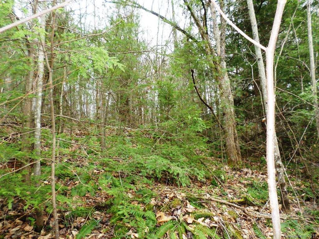 5 Tree Line Trail, Unit 5 Waynesville, NC 28785 - Photo 22 of 36 Gallery Image 22