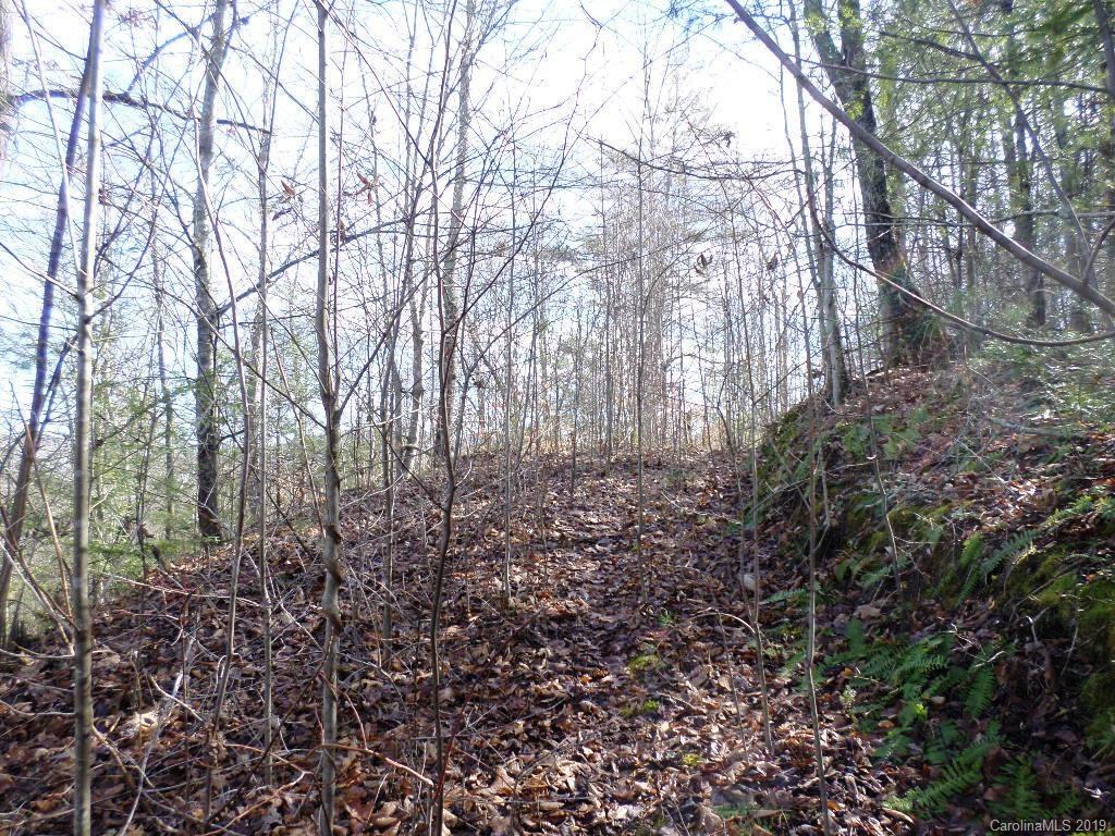 5 Tree Line Trail, Unit 5 Waynesville, NC 28785 - Photo 24 of 36 Gallery Image 24