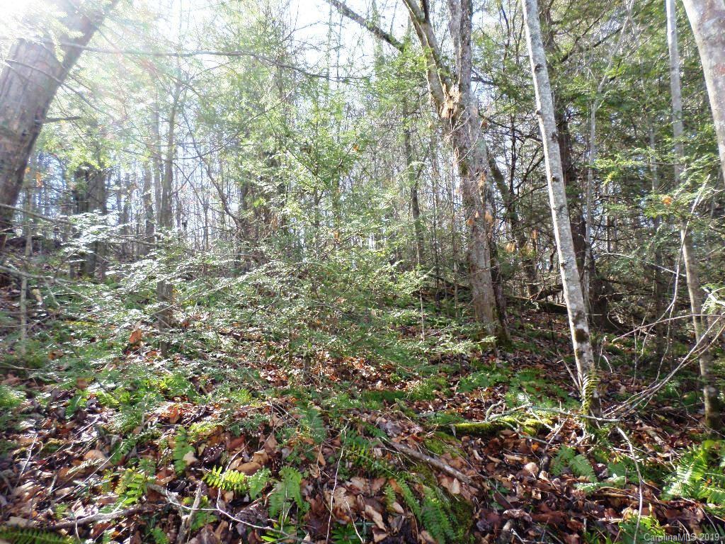 5 Tree Line Trail, Unit 5 Waynesville, NC 28785 - Photo 25 of 36 Gallery Image 25